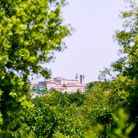 Il Gonzeto Villa Montepulciano Stazione Exterior foto