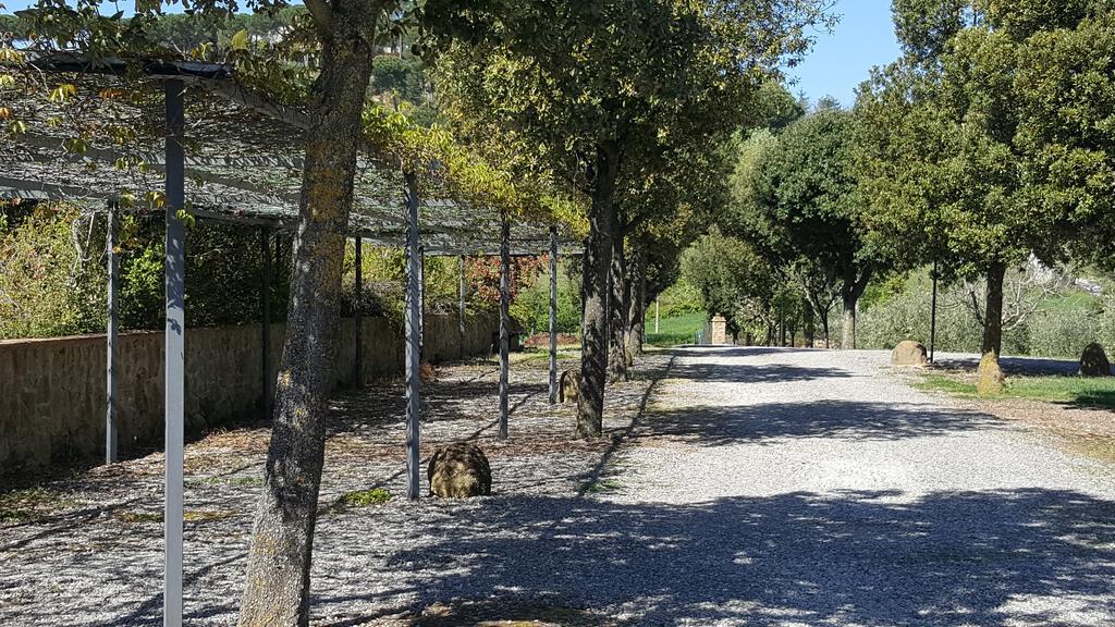 Il Gonzeto Villa Montepulciano Stazione Exterior foto