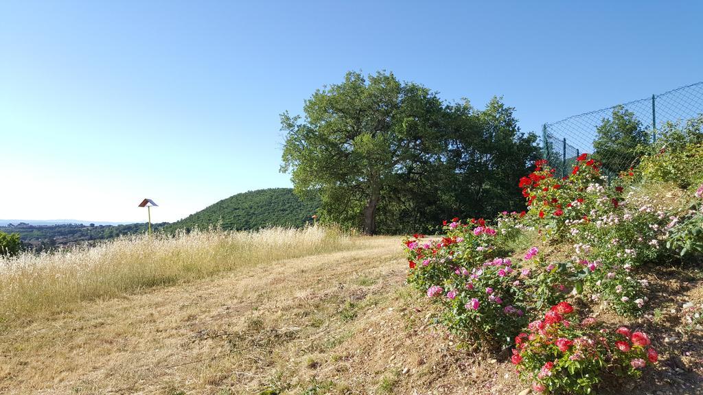 Il Gonzeto Villa Montepulciano Stazione Exterior foto