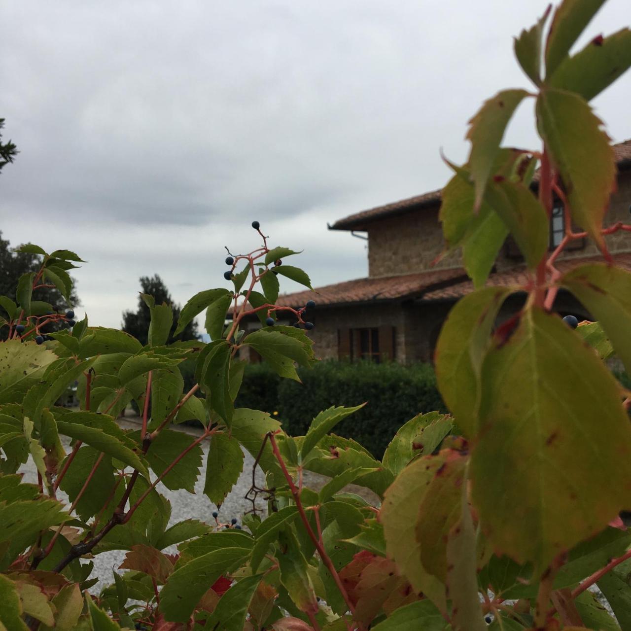 Il Gonzeto Villa Montepulciano Stazione Exterior foto